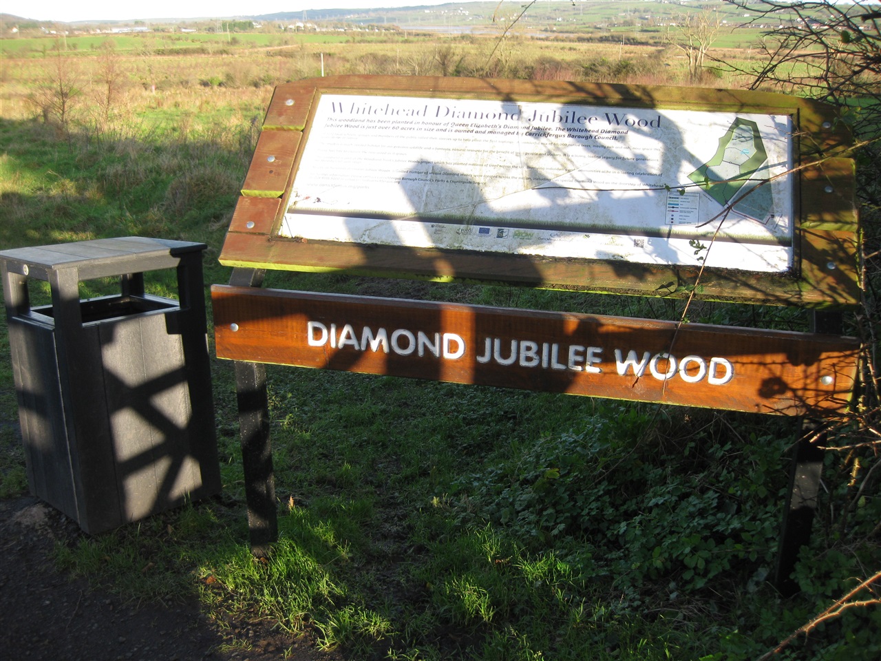 Whitehead Diamond Jubilee Wood