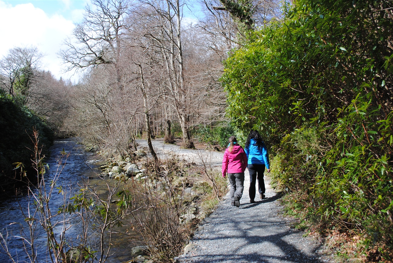Tollymore Forest Park – River Trail