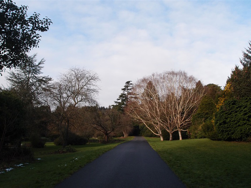 Castlewellan Forest Park – Annesley Garden Walk