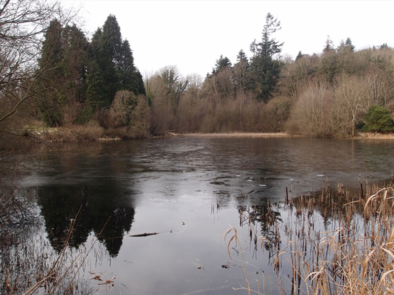 Castlewellan Forest Park – Cypress Pond Walk