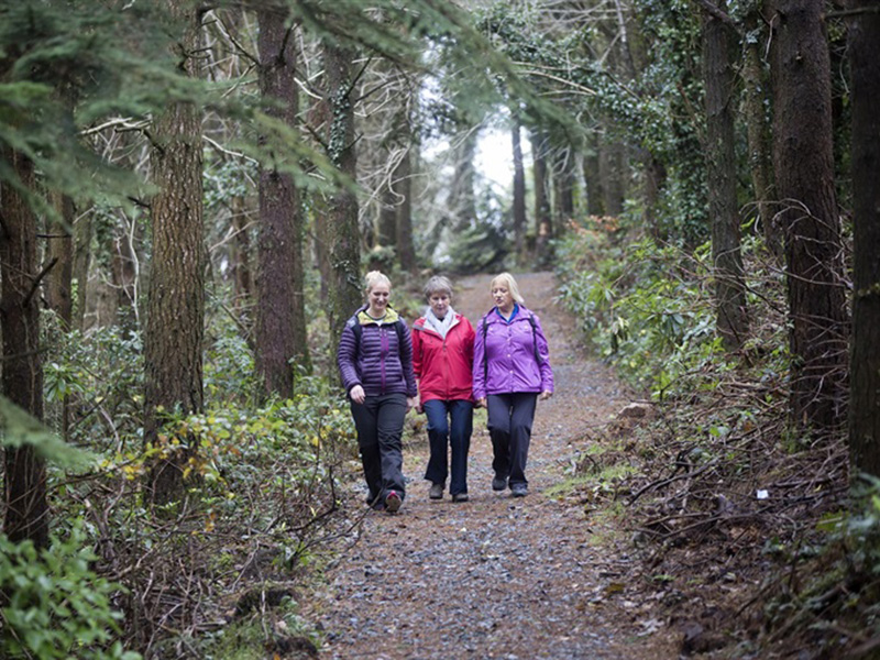 Castlewellan Forest Park – Slievenaslat Walk