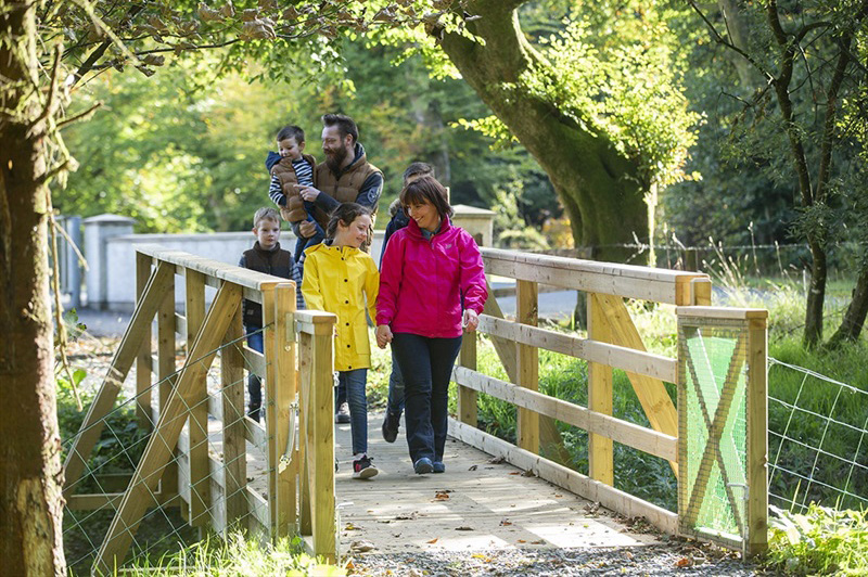 Darkley Forest - Aughnagurgan Trail - WalkNI