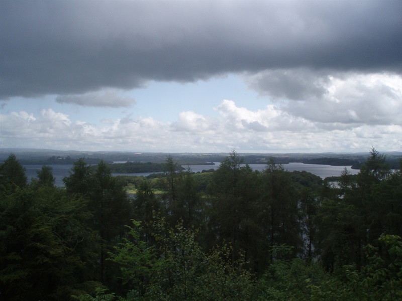 Ely Lodge Forest: Carrickreagh Viewpoint Walk