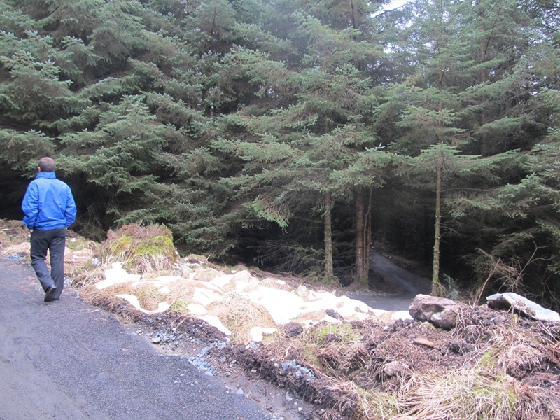 Davagh Forest