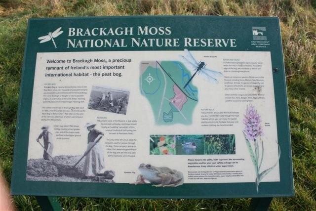 Brackagh Bog