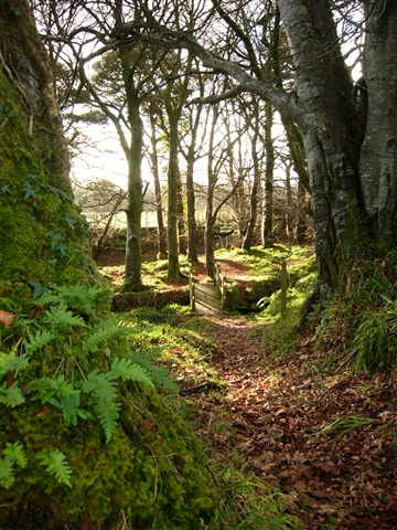 Errigal Glen Walk
