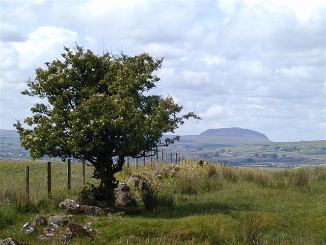 Antrim Hills Way