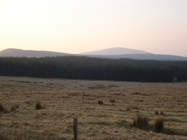 Croaghan Breen Forest Walk (CLOSED FROM 12 APRIL FOR BIRD NESTING)