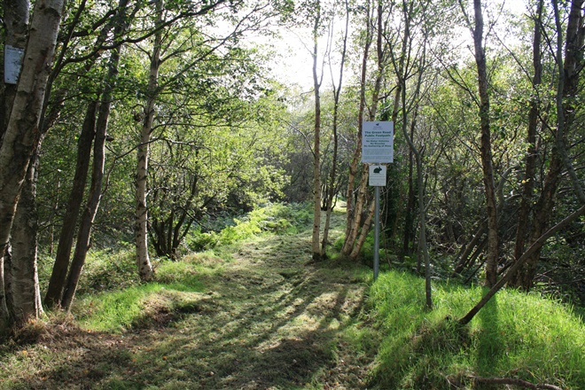 Ballyroney Lackan Bog Walk