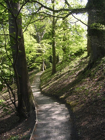 Huntly Wood