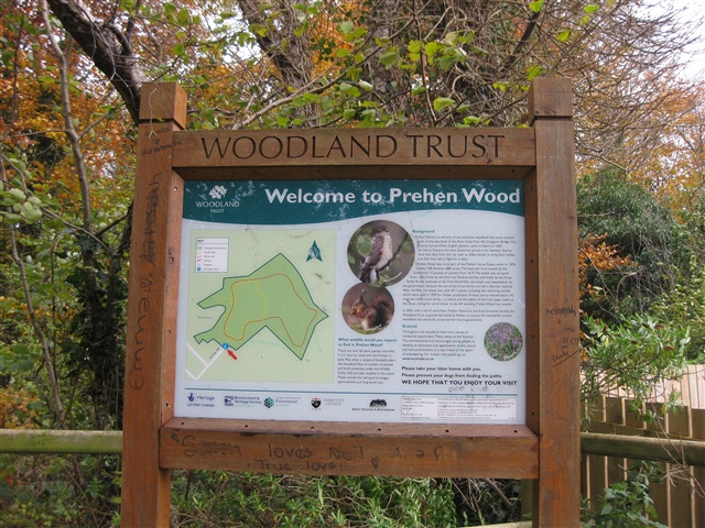 Prehen Wood