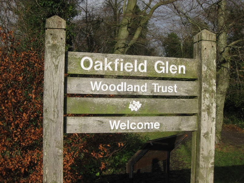Oakfield Glen and Bashfordsland Wood