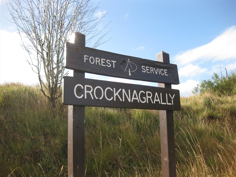 Crocknagrally Forest