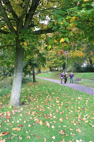 Banbridge Riverside Walk & Solitude Park