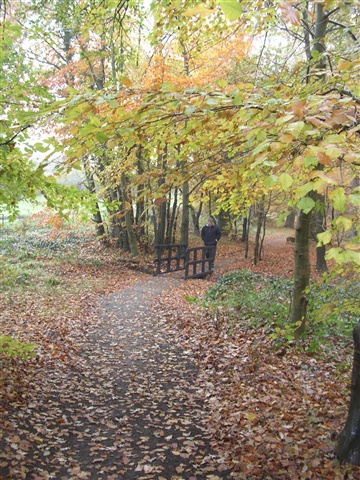 Huntly Wood