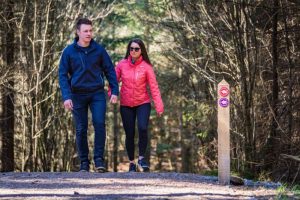 Drumkeeragh Forest – Viewpoint Trail