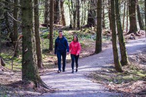 Drumkeeragh Forest – Viewpoint Trail
