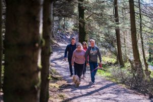 Drumkeeragh Forest – Moneynabane Trail